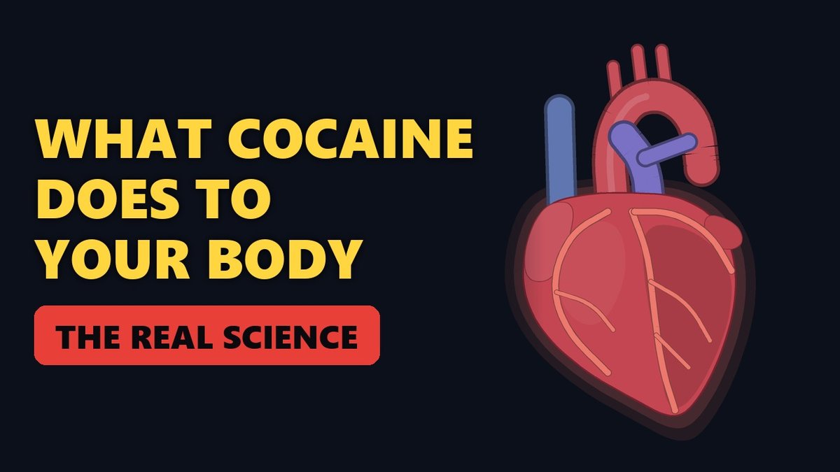 What Does Cocaine Do to Your Body? Why Cocaine Is So Addictive — video thumbnail