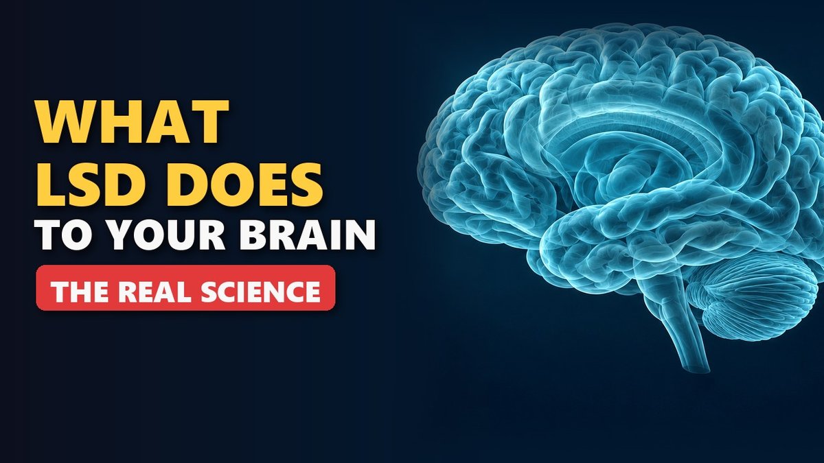What Does LSD Do to Your Brain? (Why It Lasts for Hours) — video thumbnail